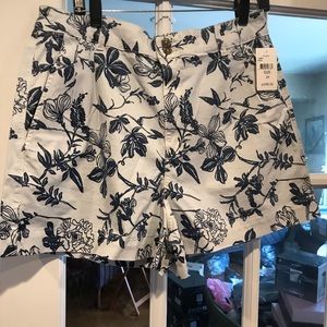 DL1961 Shorts